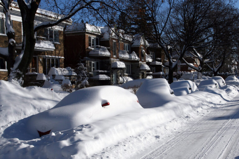 a neighborhood stuck inside with cabin fever.